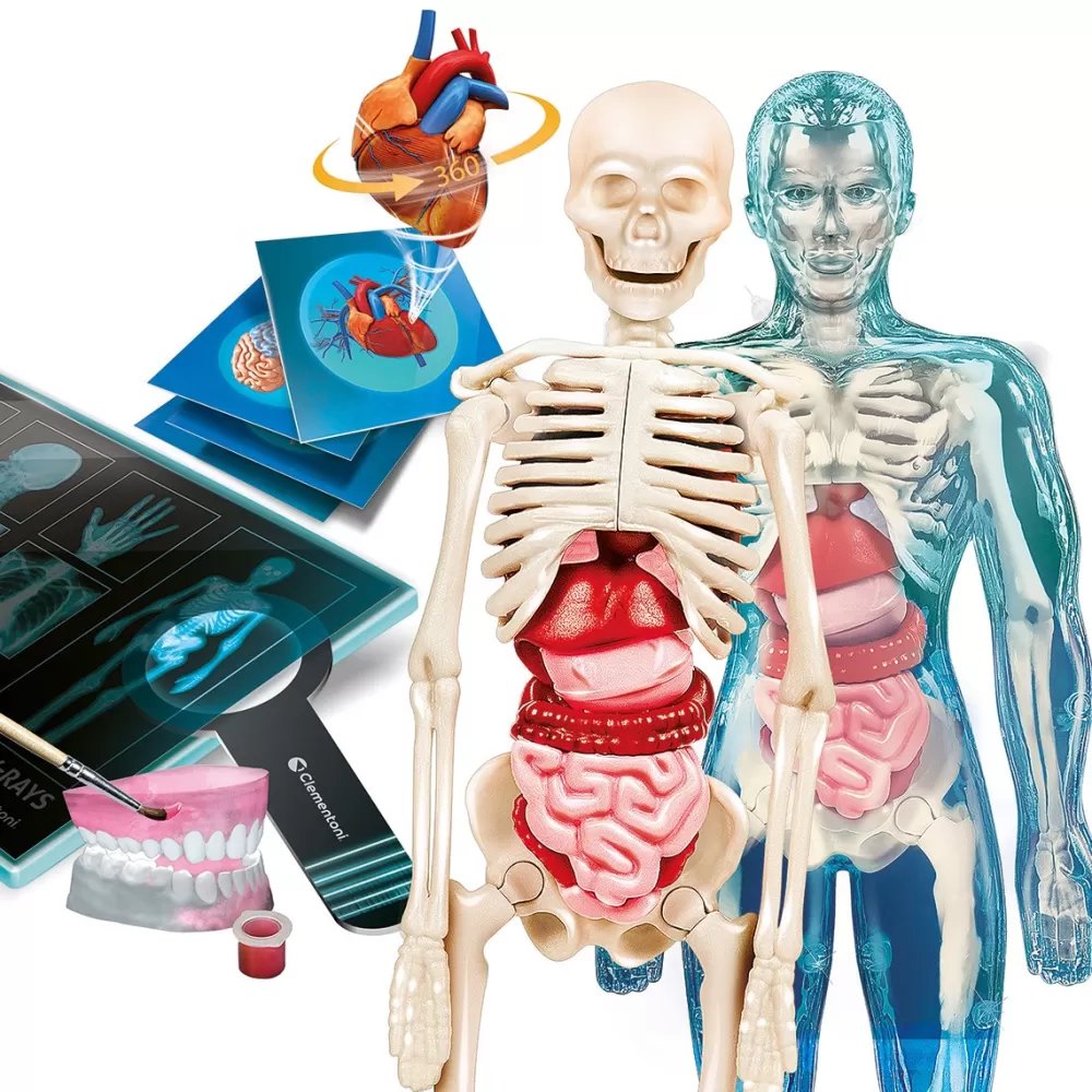 Clementoni Juego De Mesa Superanatomia Flash Sale