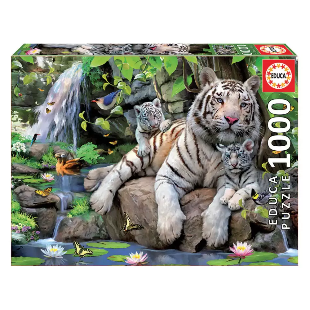 Educa Borrás Puzzle 1000 Piezas Online